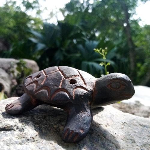 La Cima Tayrona Ξενοδοχείο Σάντα Μάρτα Εξωτερικό φωτογραφία