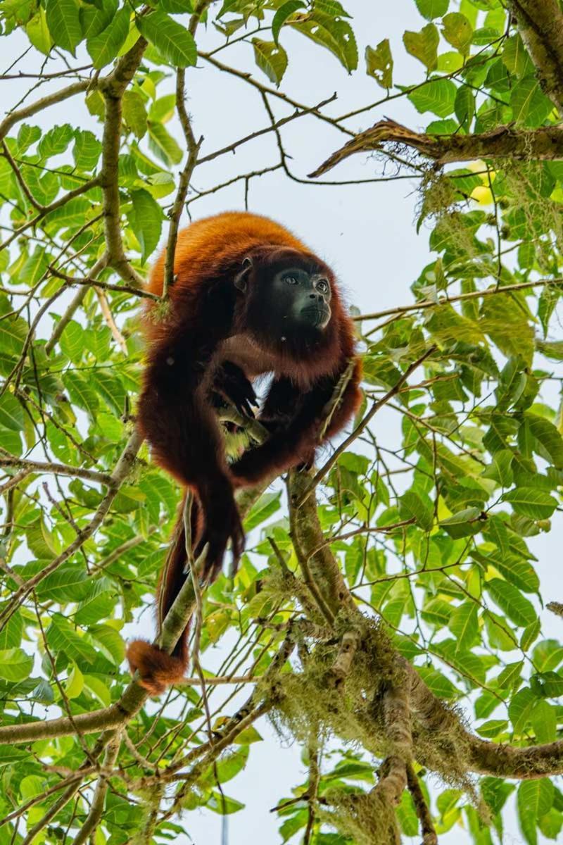 La Cima Tayrona Ξενοδοχείο Σάντα Μάρτα Εξωτερικό φωτογραφία